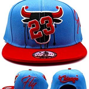 Greatest 23 Bull Head Drip Snapback Hat Sky/Red